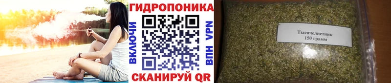 продажа наркотиков Елизово Бошки Шишки VHQ